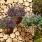 Artificial Flowers, Fake Outdoor UV Resistant Plants Faux Plastic Greenery Shrubs Indoor Outside Hanging Planter Home Kitchen Office Wedding Garden Decor (Magenta)